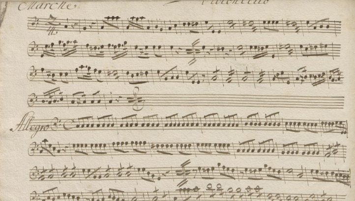 La revisión del catálogo Köchel de las obras de Mozart ha traído consigo la aparición de una obra hasta ahora desconocida del compositor de Salzburgo, escrita para trío de cuerda. Con el nombre de Ganz kleine Nachtmusik, K648, la partitura original se encuentra en la biblioteca de Leipzig, ciudad en la que fue reestrenada el pasado 21 de septiembre.